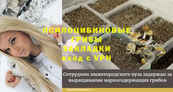 2c-b Алексин