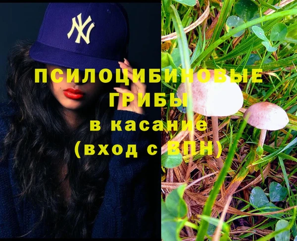 амф Алексеевка
