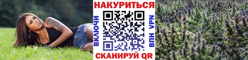 Шишки марихуана тримм  где можно купить наркотик  Суровикино 
